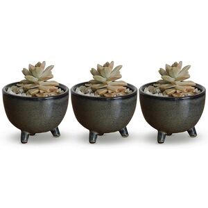 Sofia - Pots for Succulent Plants - Set of 3 - Small Succulent Pots - Ceramic